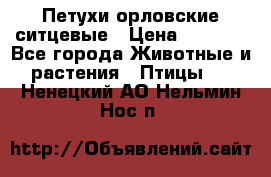 Петухи орловские ситцевые › Цена ­ 1 000 - Все города Животные и растения » Птицы   . Ненецкий АО,Нельмин Нос п.